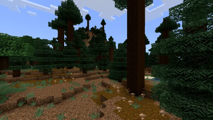 Dense forest with textured trees and ground