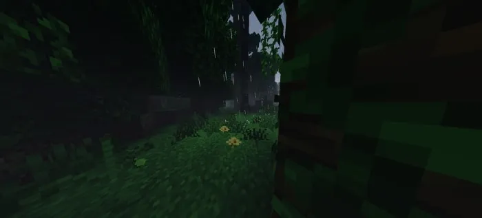 Dark, eerie forest with dense foliage