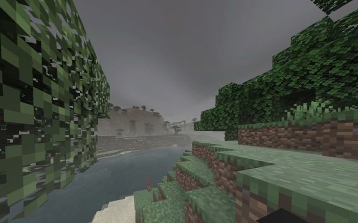 Foggy landscape with dense trees.