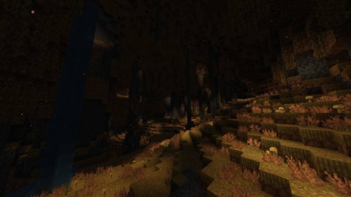 Dimly lit cave with vegetation.