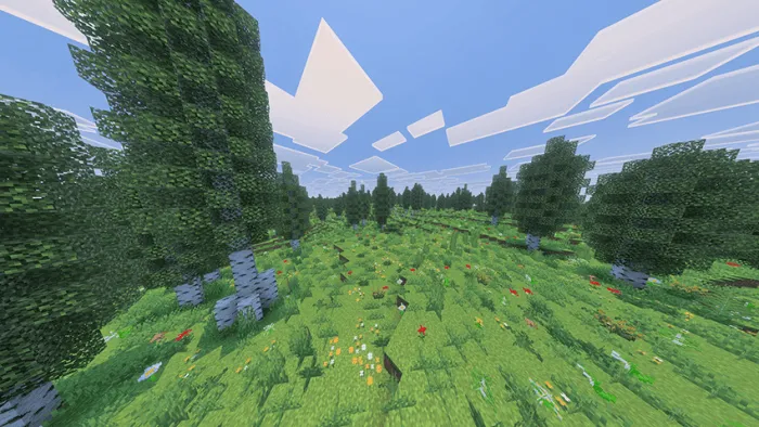 Lush forest biome with vibrant flowers.