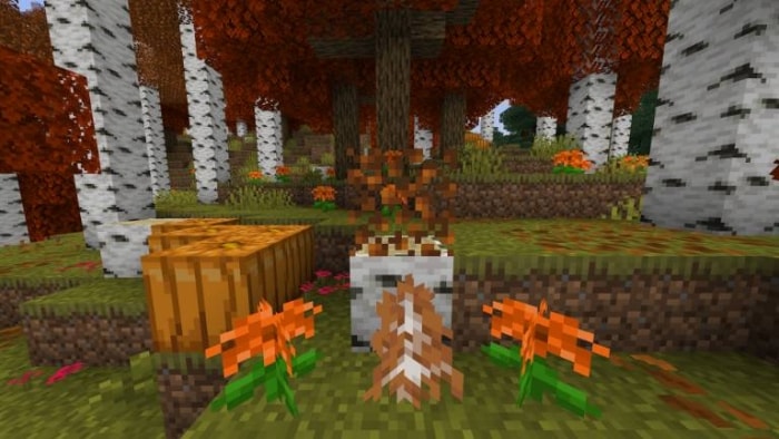Vibrant autumn forest with pumpkins.