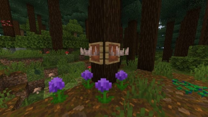 Forest biome with purple flowers.