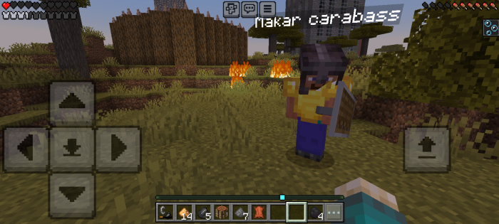 Player explores burned landscape with fire