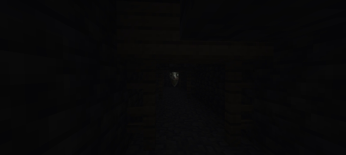 Dark tunnel with a creepy face in the distance