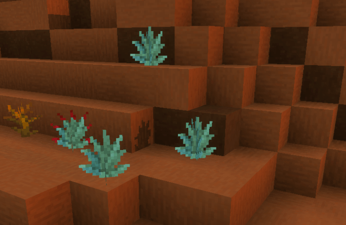 New colorful foliage on terracotta steps.
