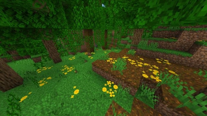 Lush forest biome with yellow flowers.