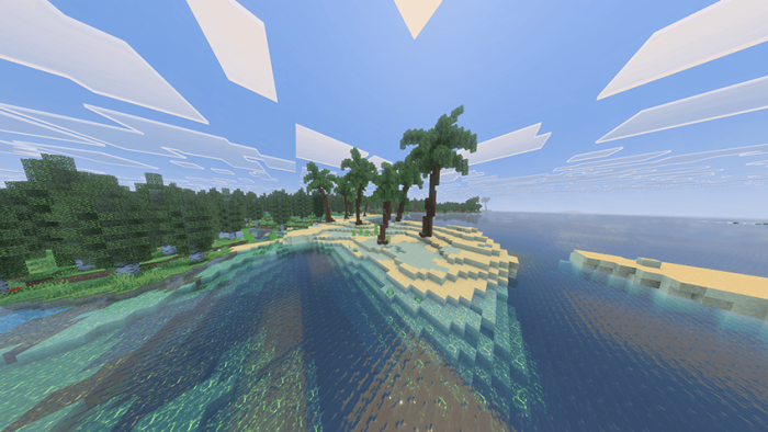 Sandy shore with palm trees.