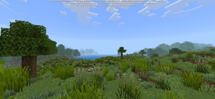 Lush landscape with dense grass and trees