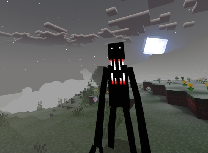 Tall, shadowy figure in foggy landscape.