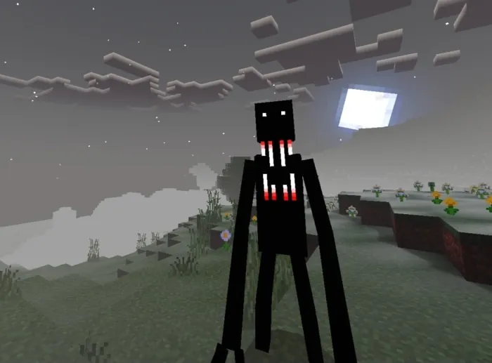 Tall, shadowy figure in foggy landscape.
