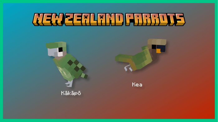 Two blocky New Zealand parrots Kākāpō, Kea