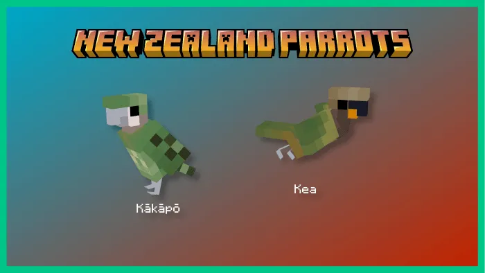 Two blocky New Zealand parrots Kākāpō, Kea