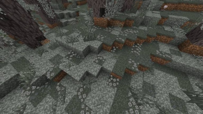 Forest biome with foliage and terrain.