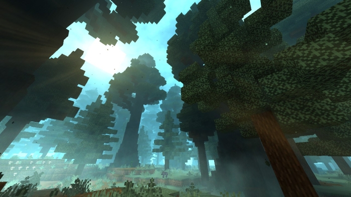 Blocky forest with towering trees.