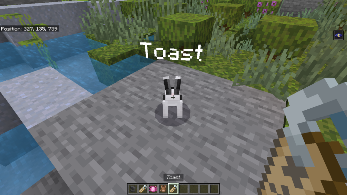 Blue Axolotl Name Tag Screenshot 3