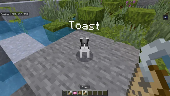 Blue Axolotl Name Tag Screenshot 3