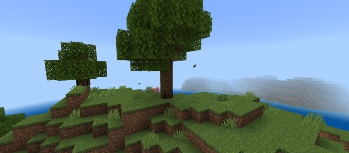 Oak Log 2