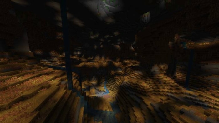 Dimly lit, expansive underground biome.