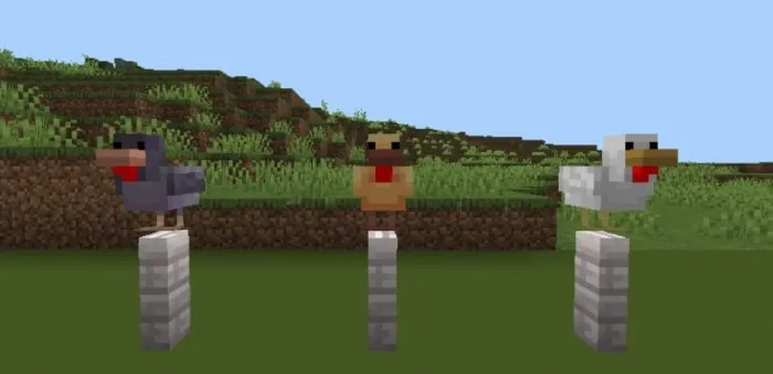 Three bird-themed decorative blocks on posts