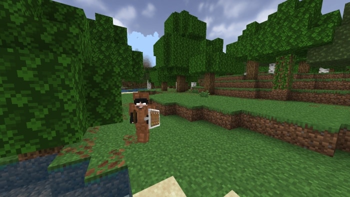 Player with shield stands in forest clearing