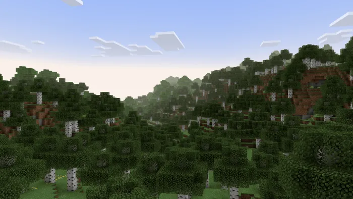 Soft fog settles over a lush forest valley.