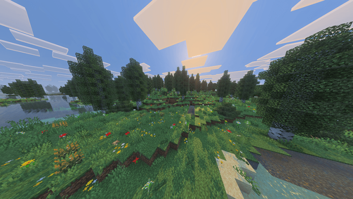 Lush forest landscape with vibrant flora.