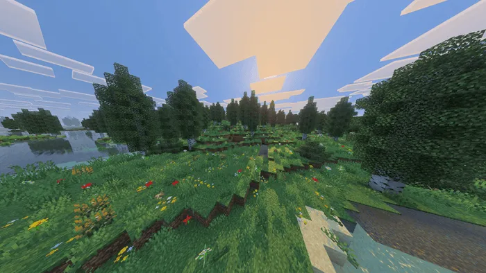Lush forest landscape with vibrant flora.