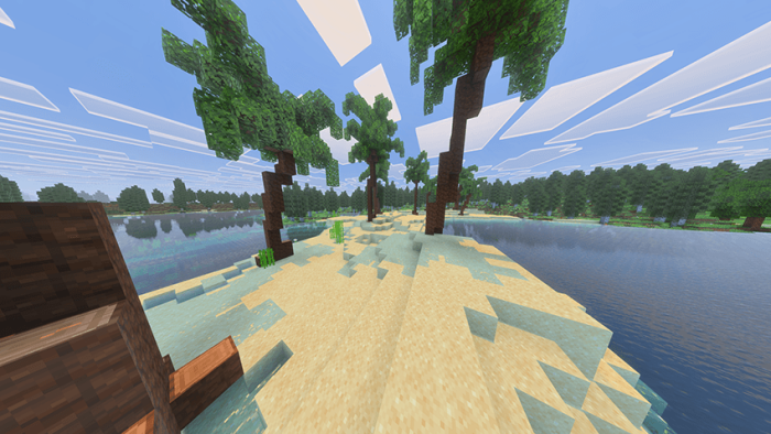 Blocky beach with trees and water.