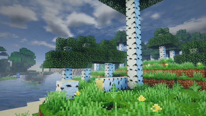 Birch forest with enhanced lighting effects
