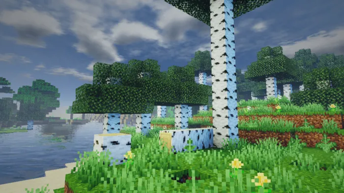 Birch forest with enhanced lighting effects