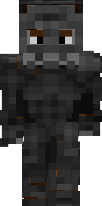Dark stone elemental character skin.