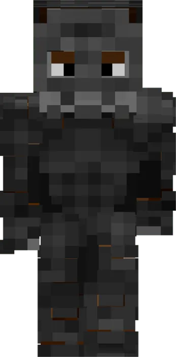 Dark stone elemental character skin.