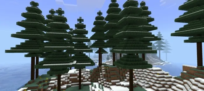 Snowy forest biome with tall pine trees