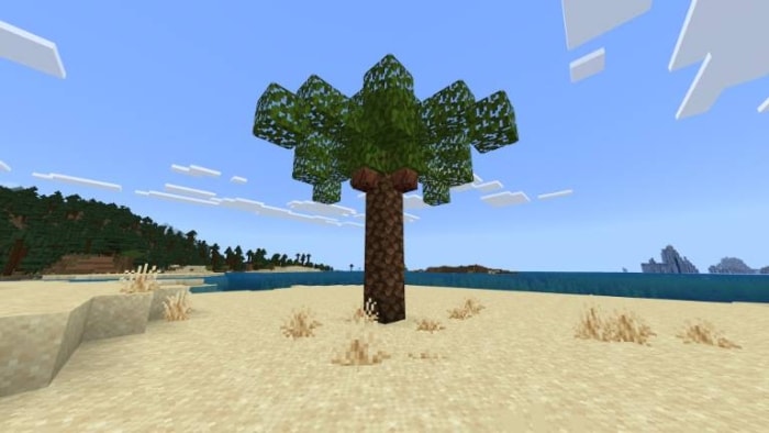 Tree on a sandy beach landscape.