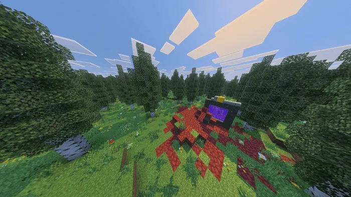 Lush forest with a Nether portal.