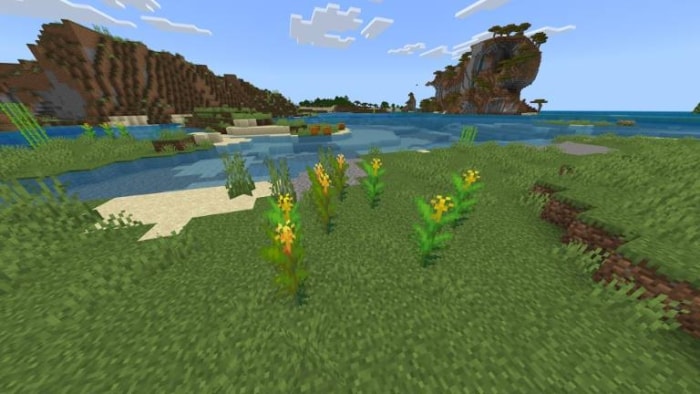 Lush biome with flowers by the water.