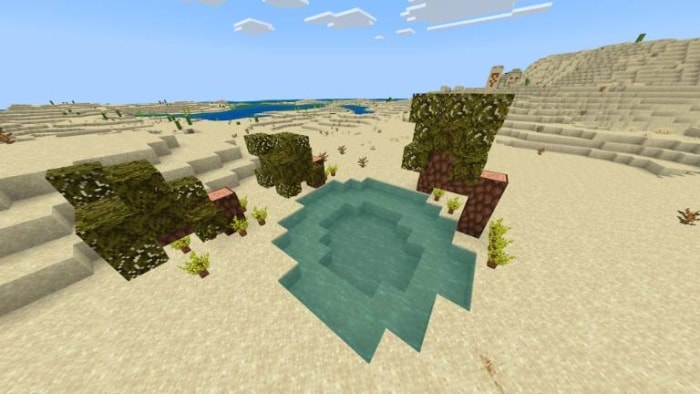 Desert biome with new foliage and pond.