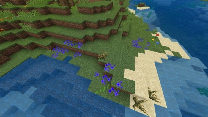 Coastal biome with vibrant flowers.