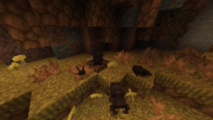 New biome with diverse terrain and mobs.
