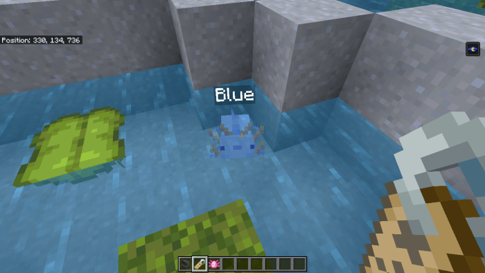 Blue Axolotl Name Tag Screenshot 2