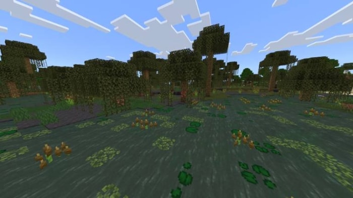 Swamp biome with lush greenery.