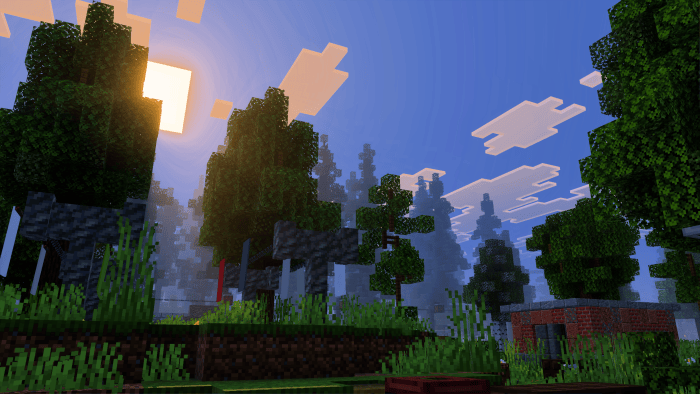 Foggy forest scene with enhanced lighting