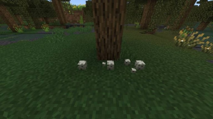 Mushrooms growing at tree base.