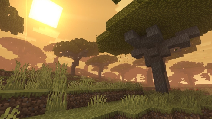 Blocky savanna landscape at sunset.