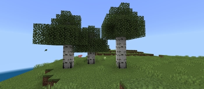 Oak Log
