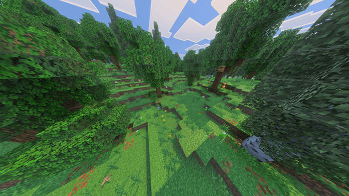 Lush forest with vibrant greenery.