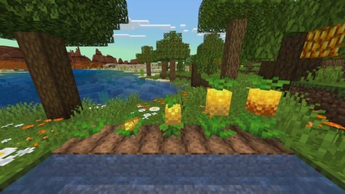 Lush biome with vibrant plants and trees.