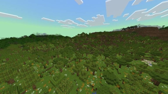Lush green forest biome under blue sky.
