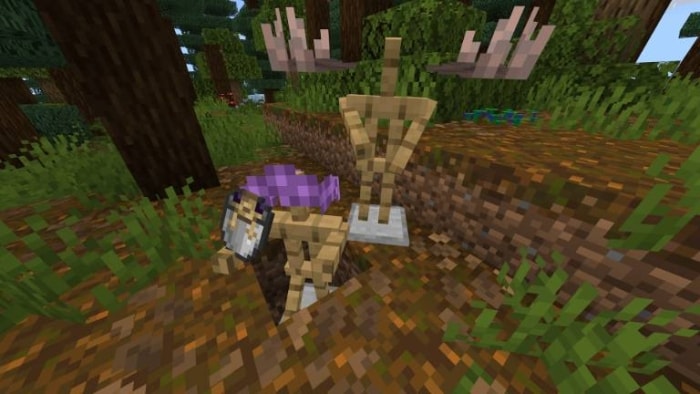 Woodland scene with armor stand.